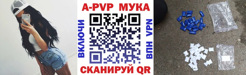 Альфа ПВП СК КРИС  Шумиха 