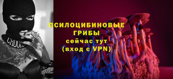 мет Пересвет