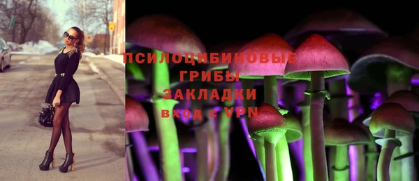 apvp Переславль-Залесский