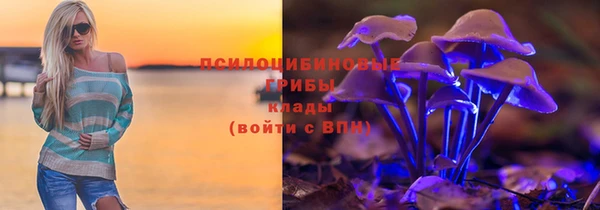 PSILOCYBIN Пестово