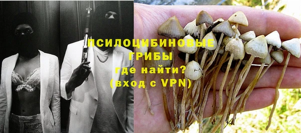 PSILOCYBIN Пестово