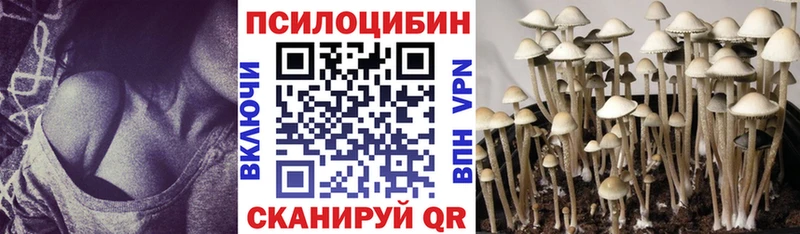 Галлюциногенные грибы MAGIC MUSHROOMS  кракен вход  Шумиха 